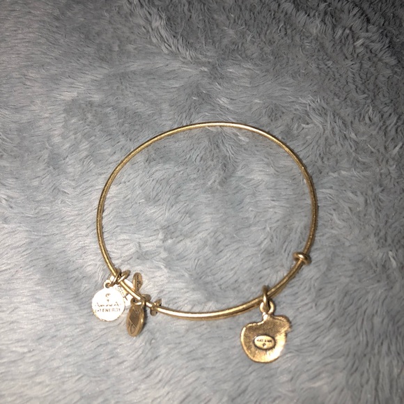 Alex and Ani gold apple bracelet - Picture 2 of 2